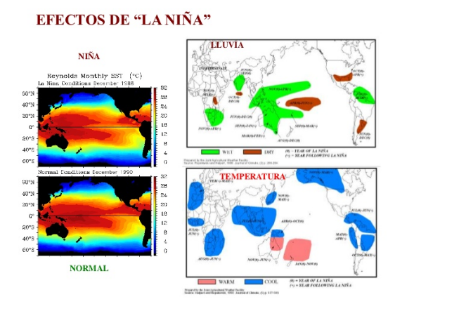 El clima de la campaña 2020-21 se orienta hacia un fenómeno La Niña ‘débil’